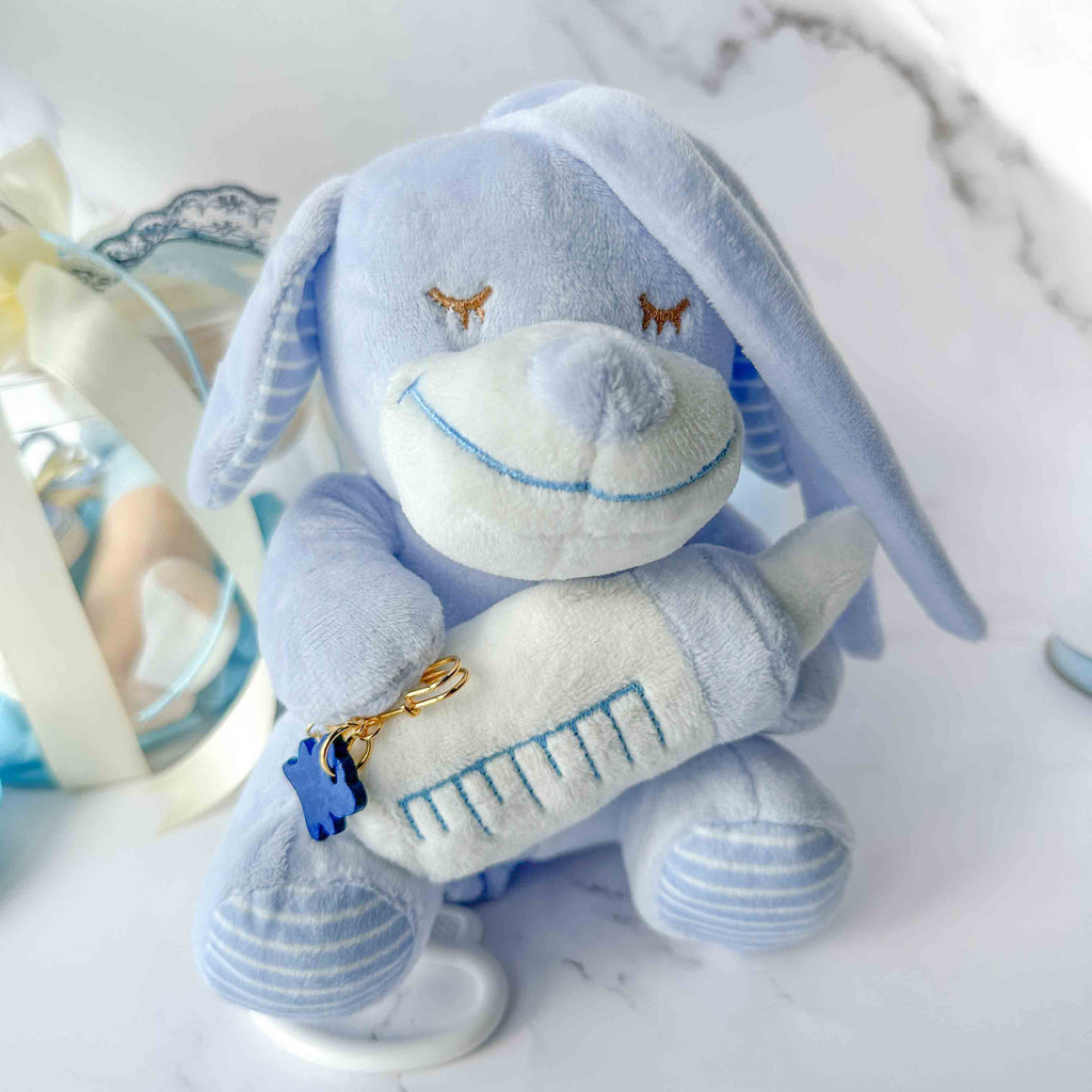 Kit Baby Μωρού Μπλε Πακέτο Αρκουδάκι & Παραμάνα