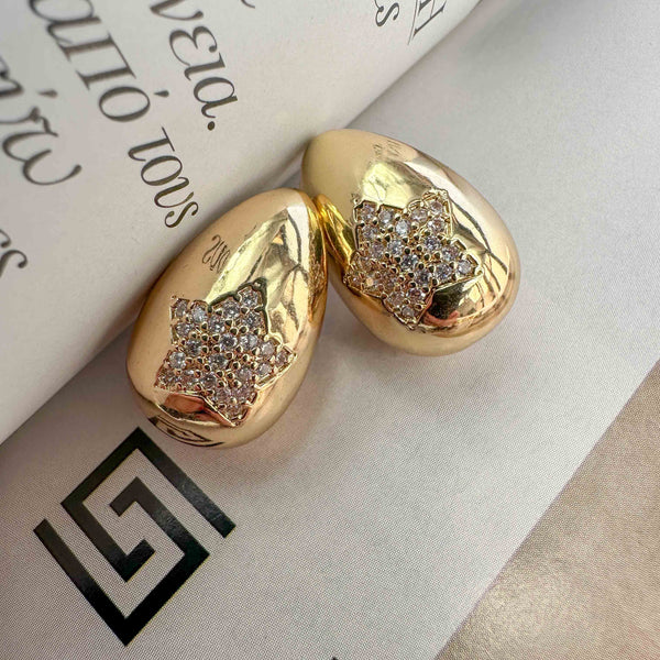 Σκουλαρίκια Σταγόνα με Αστέρι Ζιργκόν